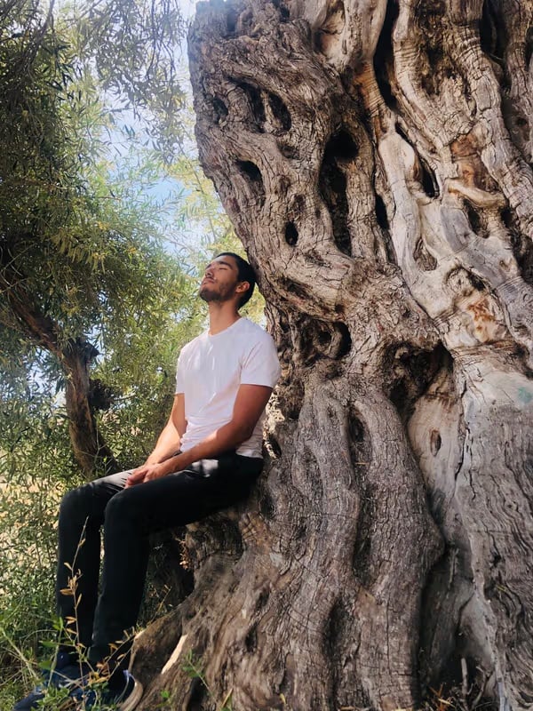 Aya ja Bufo -syventävä · 5 päivän ayahuasca- ja rupikonnaretriitti