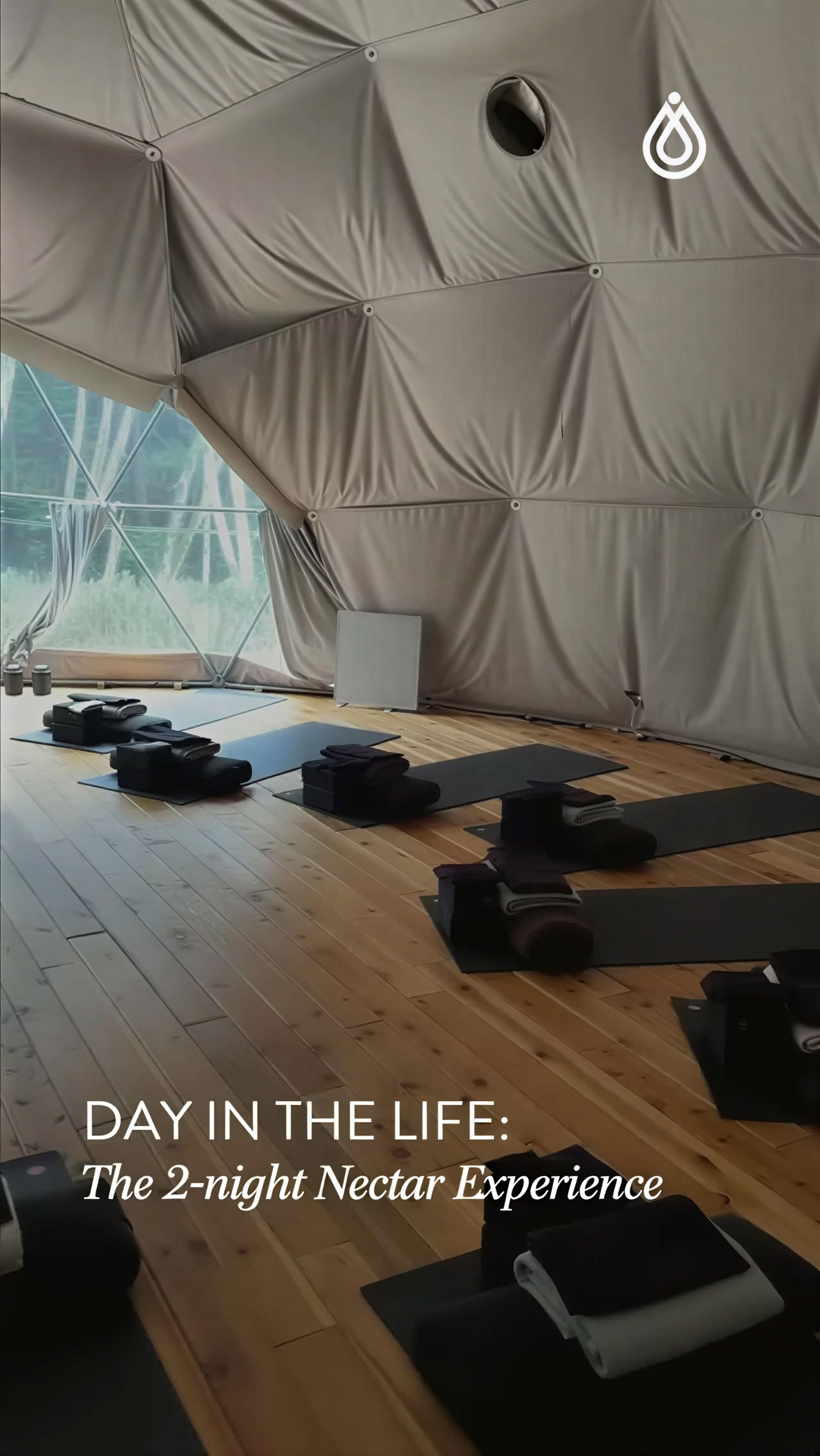 Iltapäivän palauttava retriitti Carolyn Anne Budgellin kanssa | Nectar Yoga