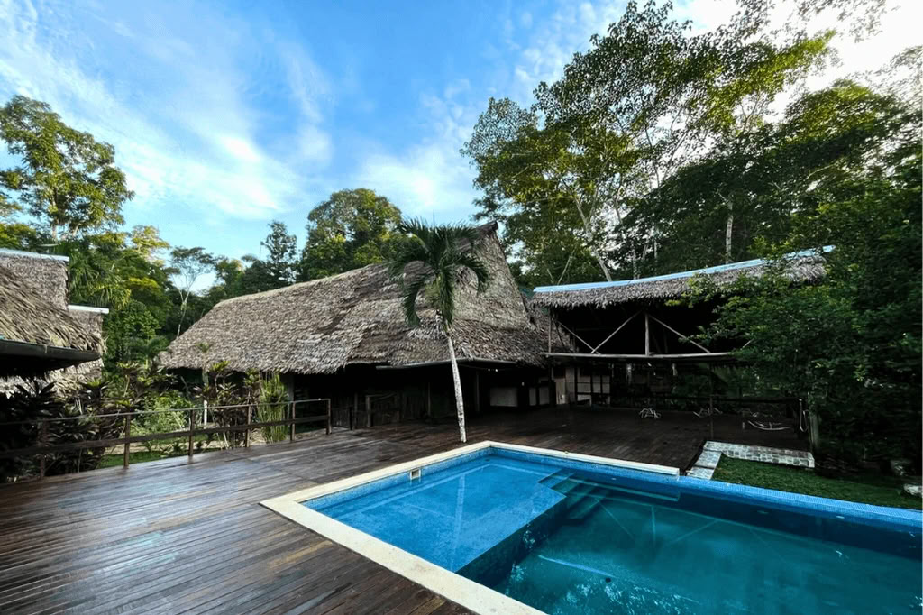 Amazonin – Blue Morpho Lodgessa 3 ayahuascaa ja 1 San Pedro