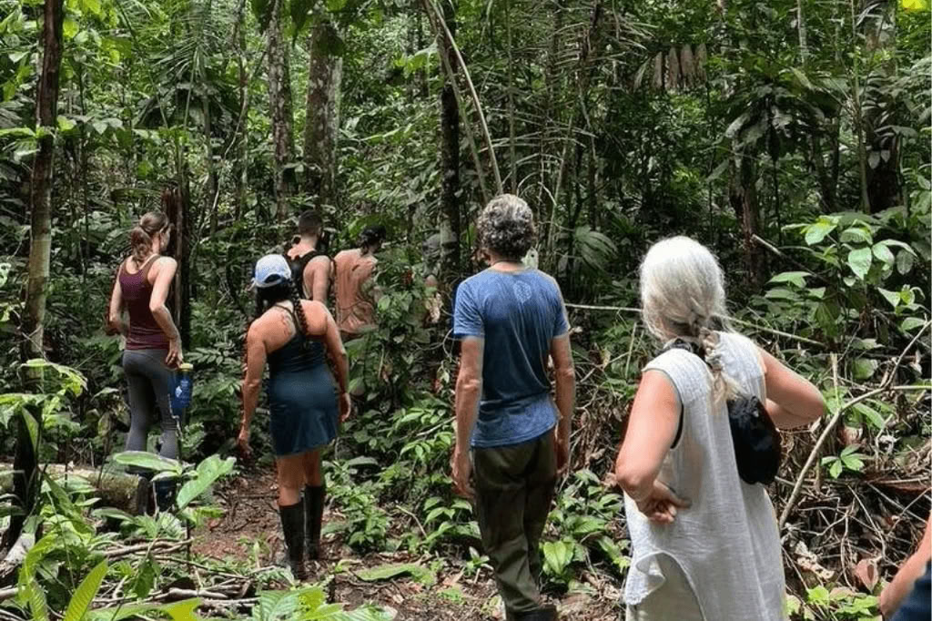 Amazonin – Blue Morpho Lodgessa 3 ayahuascaa ja 1 San Pedro