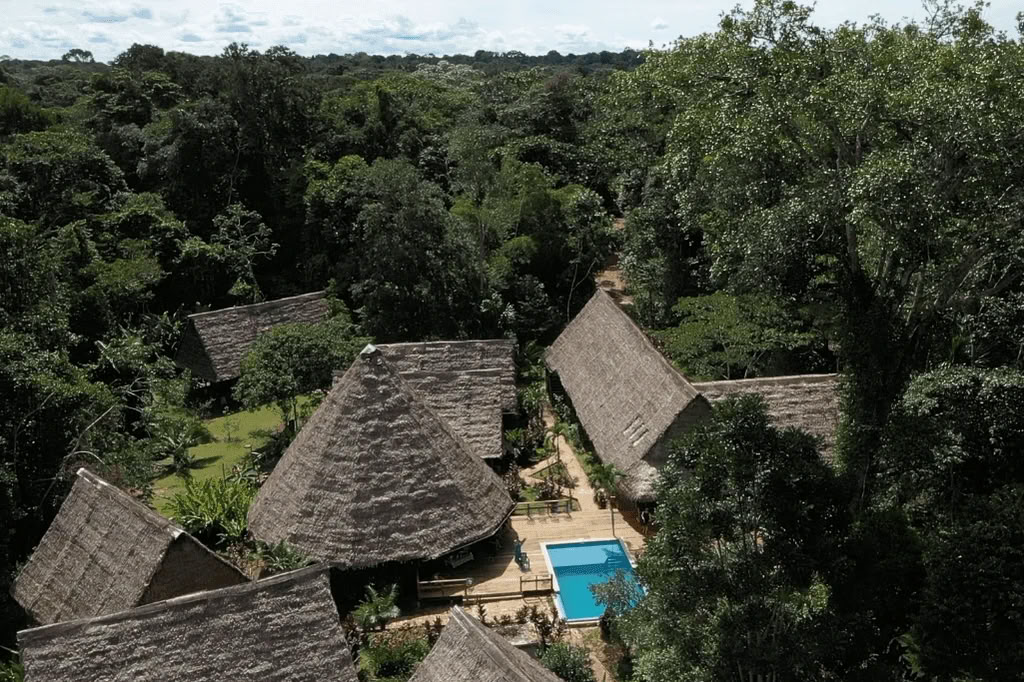 Amazonin – Blue Morpho Lodgessa 3 ayahuascaa ja 1 San Pedro