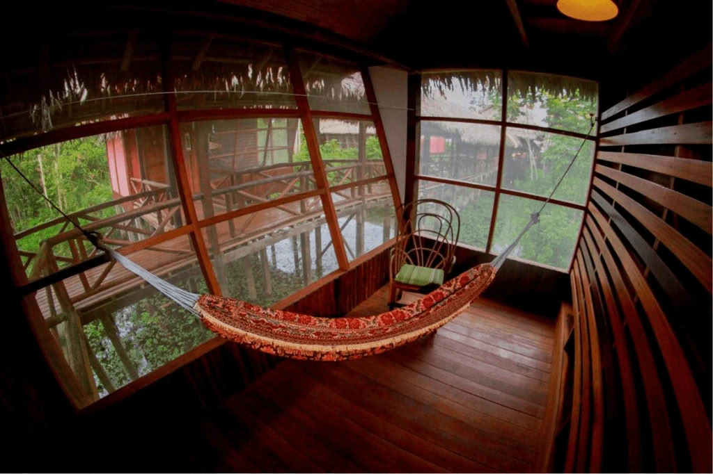 Amazonin – Blue Morpho Lodgessa 3 ayahuascaa ja 1 San Pedro