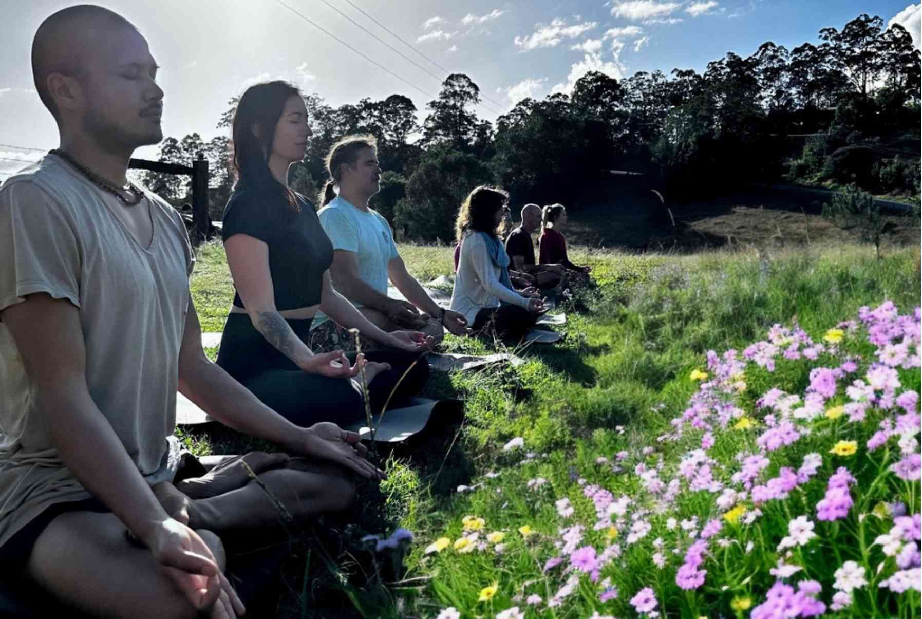 Edistynyt pranayama-hengitystyön opettajakoulutus