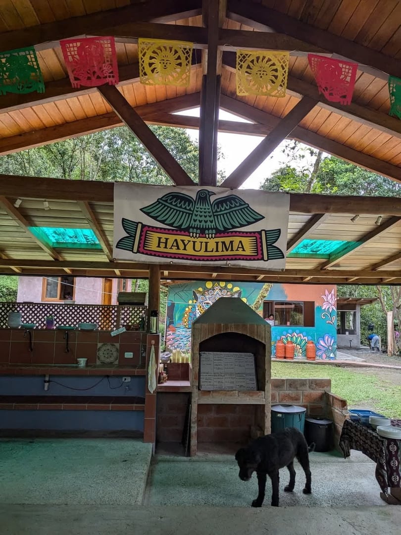 3 päivän – San Pedro ja ayahuasca – viikonloppumatka