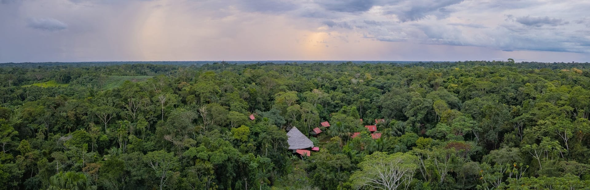 Ayahuasca-parantumisen retriitti + 5 päivän integraatioretriitti