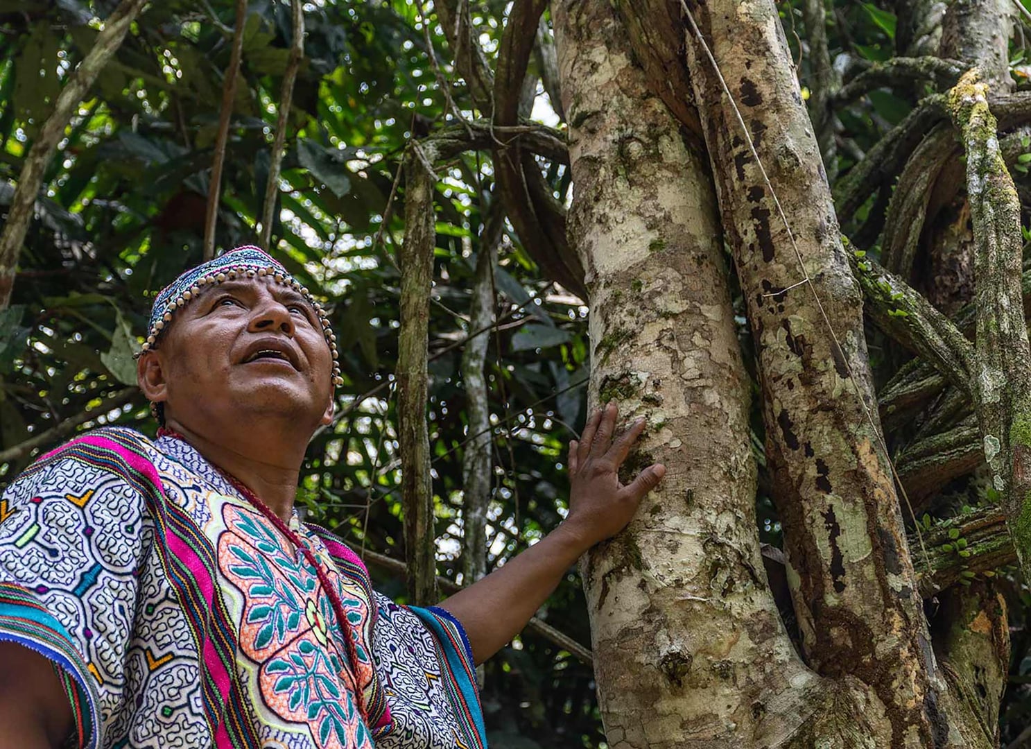 Ayahuasca-parantumisen retriitti + 5 päivän integraatioretriitti