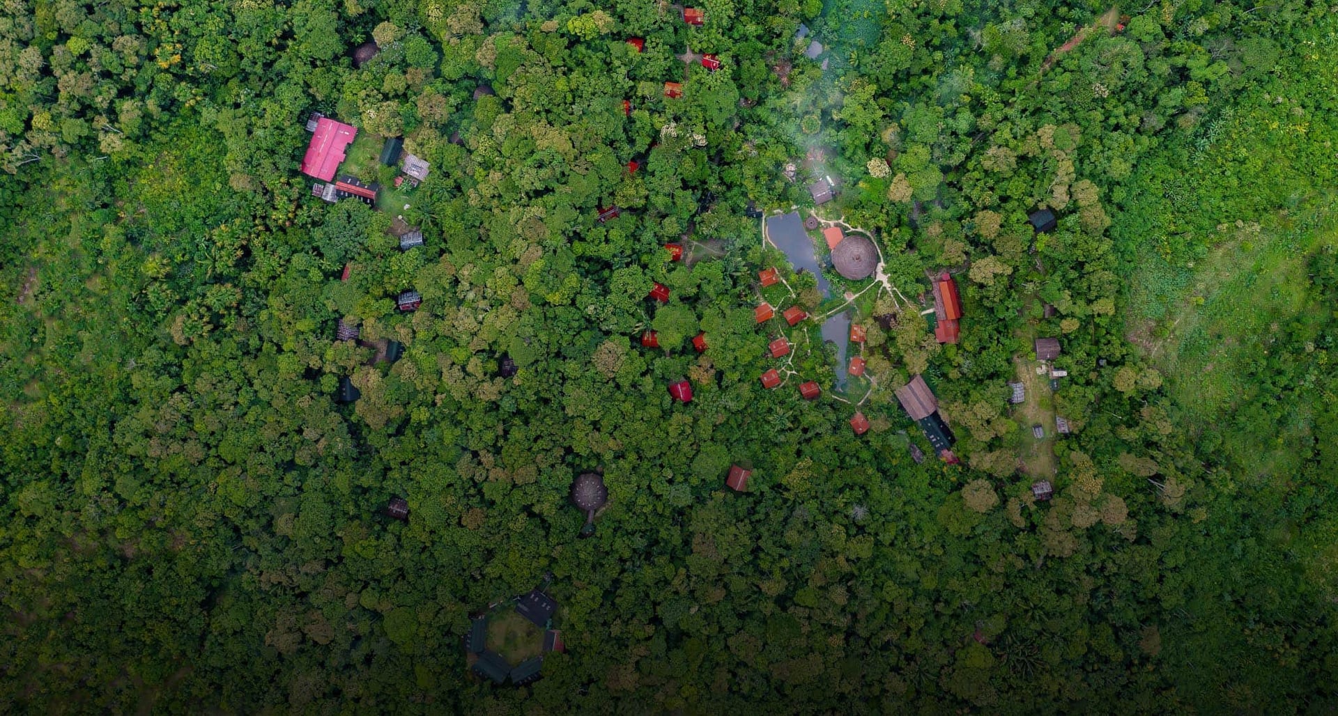 Ayahuasca-parantumisen retriitti + 5 päivän integraatioretriitti