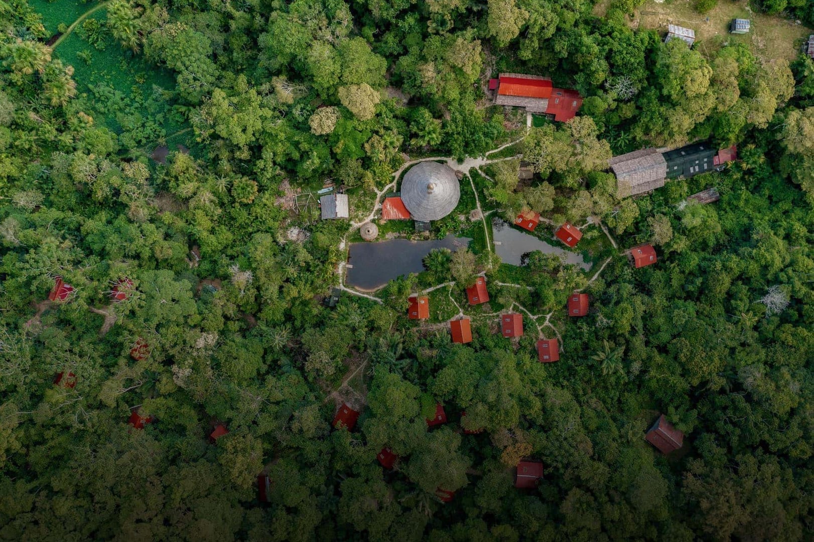 Ayahuasca-parantumisen retriitti + 5 päivän integraatioretriitti