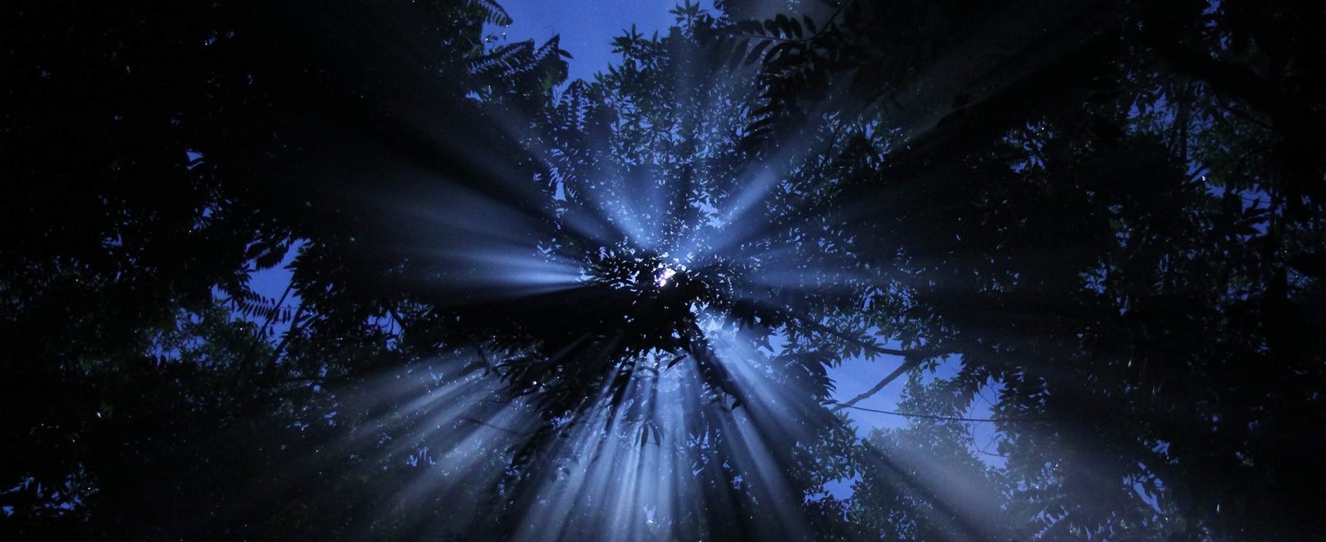 Ayahuasca-parantumisen retriitti + 5 päivän integraatioretriitti