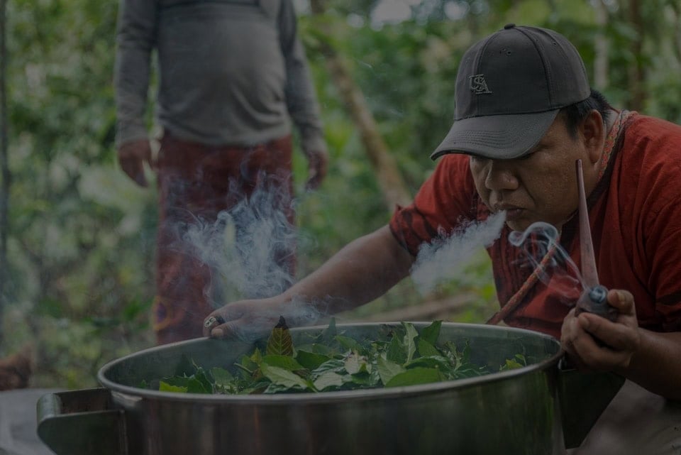 Ayahuasca-parantumisen retriitti + 5 päivän integraatioretriitti