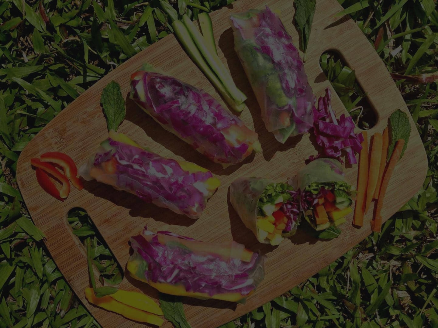 Ayahuasca-parantumisen retriitti + 5 päivän integraatioretriitti