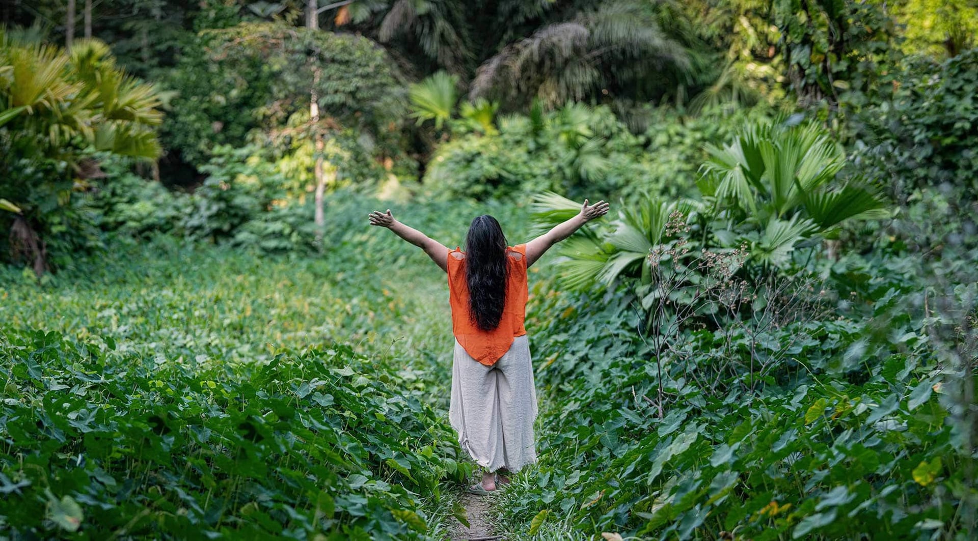 Ayahuasca-parantumisen retriitti + 5 päivän integraatioretriitti