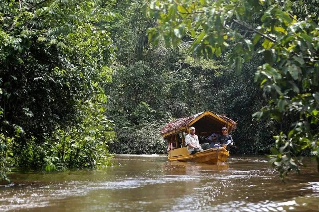 Ayahuasca-parantumisen retriitti + 5 päivän integraatioretriitti