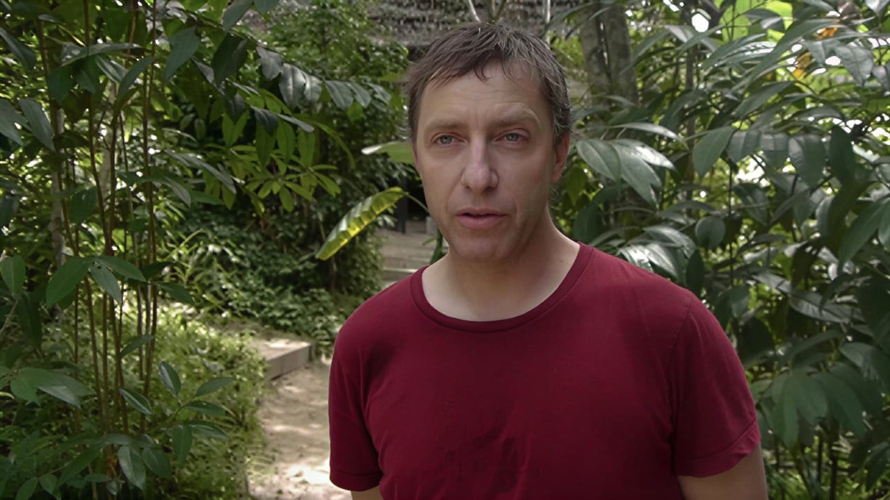 Ayahuasca-parantumisen retriitti + 5 päivän integraatioretriitti