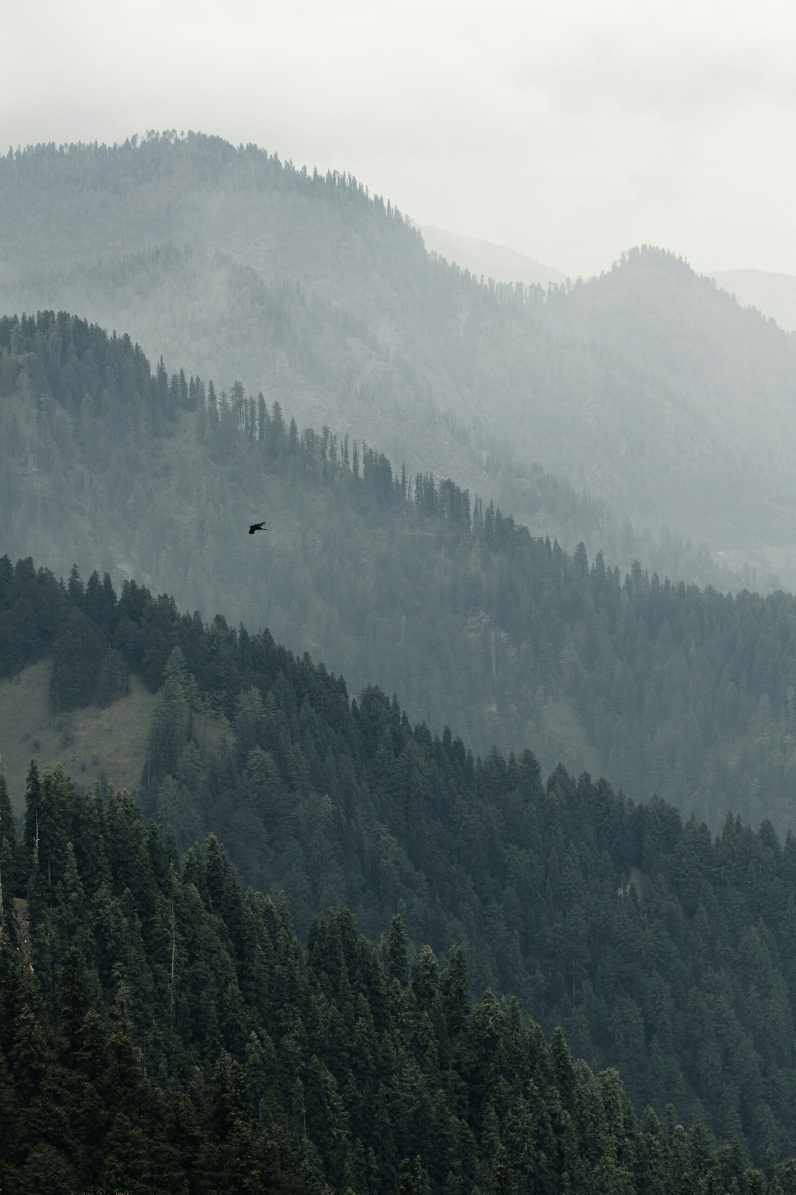 Pyhiltä kukkuloilta kultaisille horisonteille: Dharamshala, Dalhousie & Amritsarin reitti