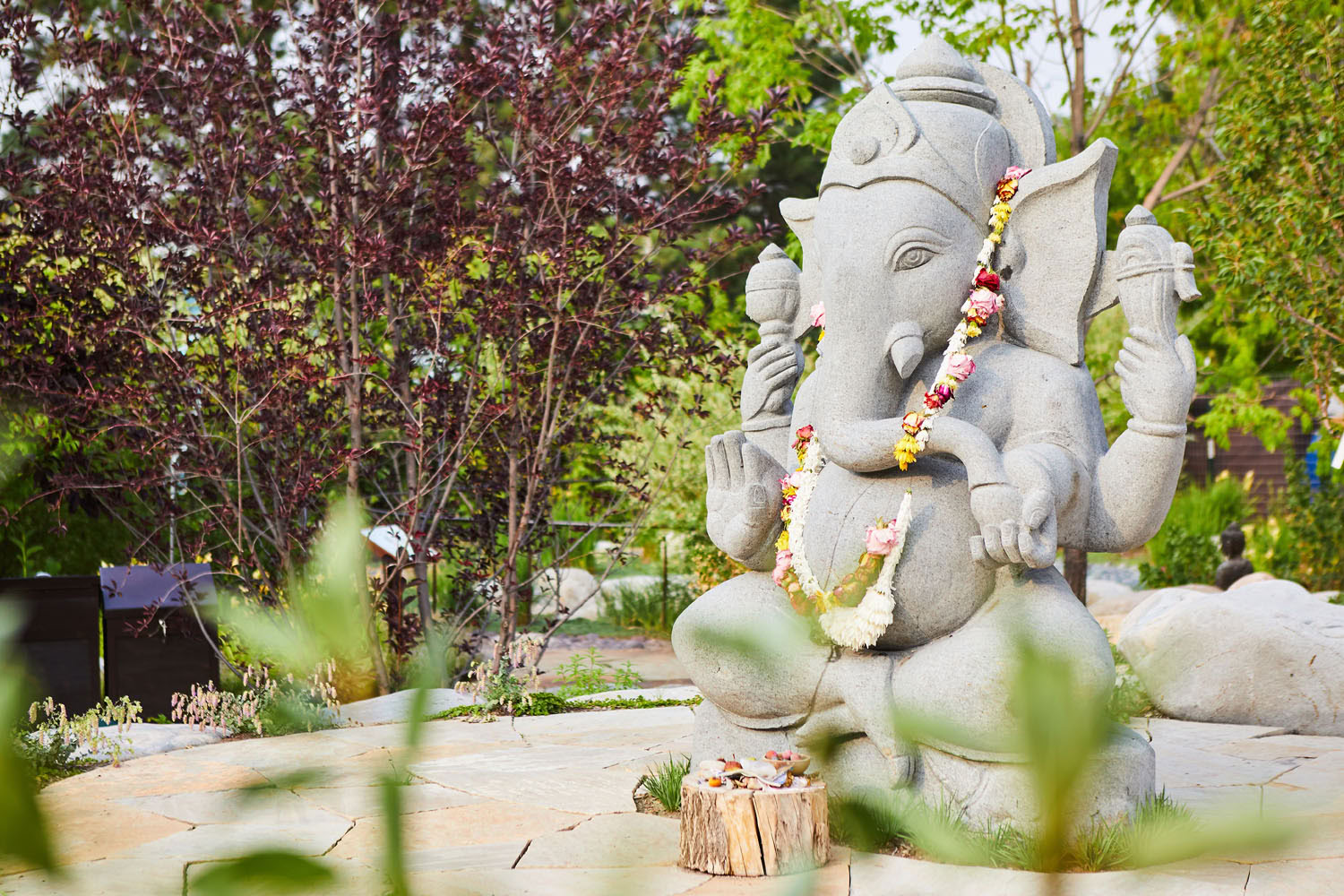 Pyhän veljeyden keskustelut Kyle Jason Leitzken kanssa | True Nature - Carbondale, CO