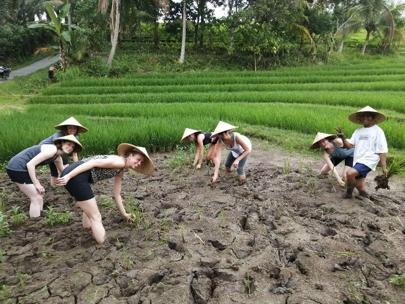 BALIGRASS - Itseparantuminen muinaisen viisauden ja meditaation avulla