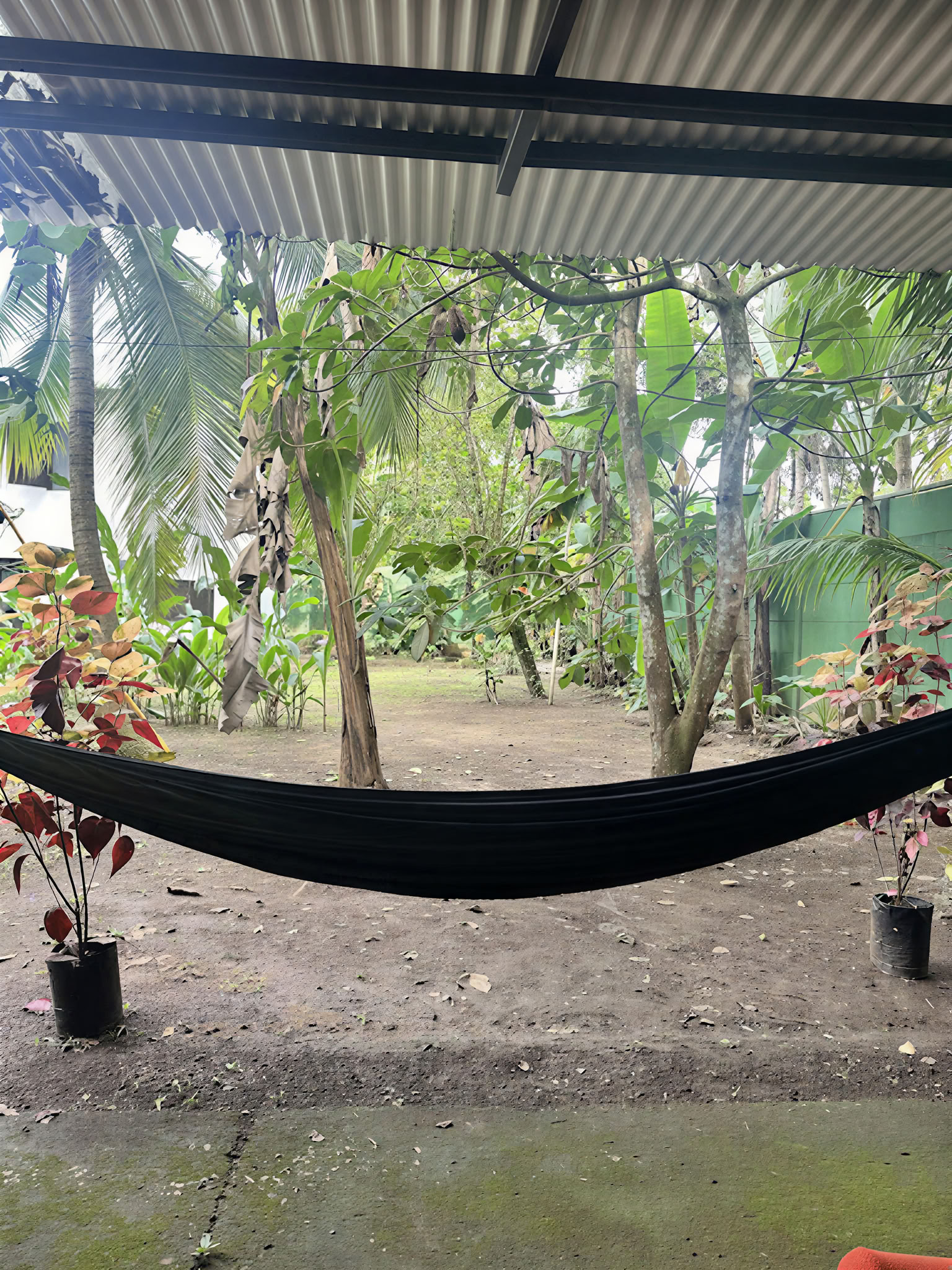 Kotipyhättö Ayahuasca-retriitti – 22.–29. elokuuta