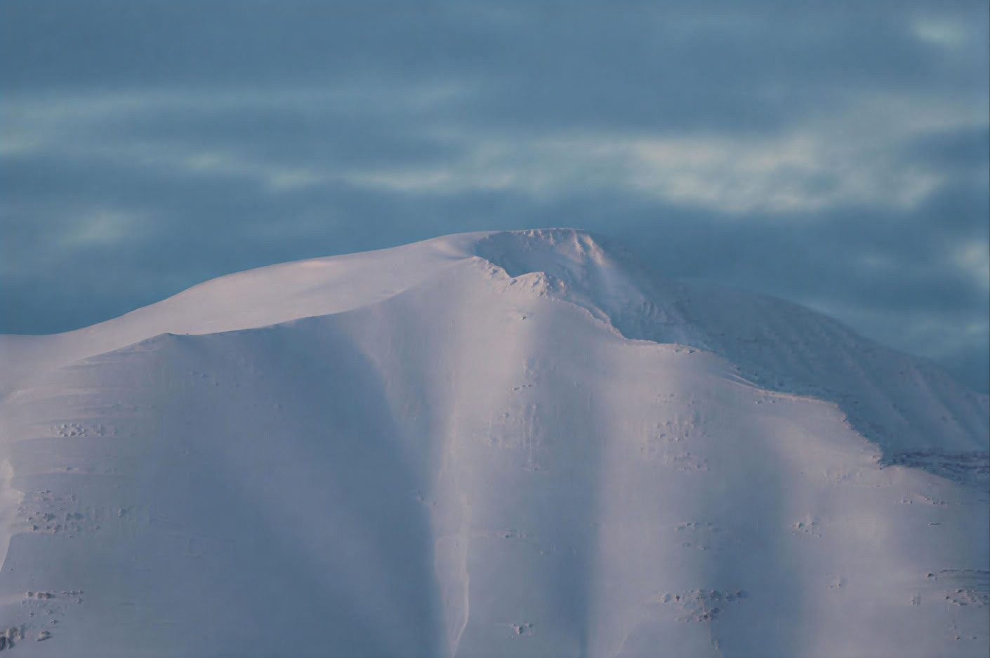 Akureyrin valassafari
