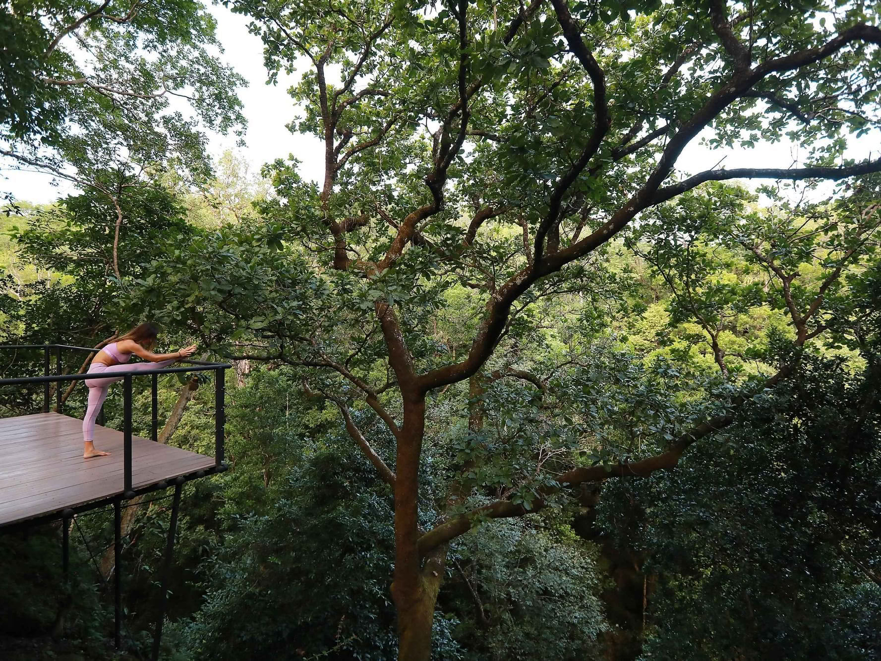 Kalliolla Jooga