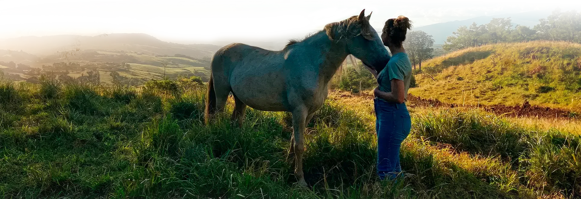 Sydämen taajuuden parantaminen hevosten kanssa