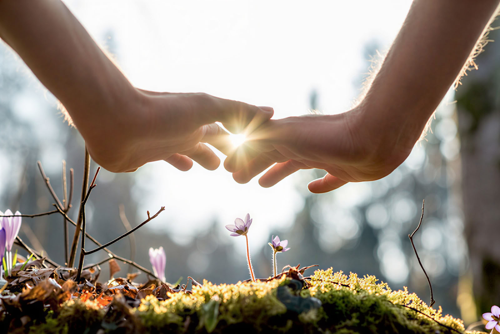 Panchakarma · 7–14 päivän ayurveda-retriitit