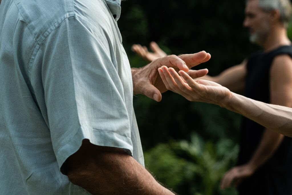 Metsäkallio Taso 1 Qigong-opettajakoulutus