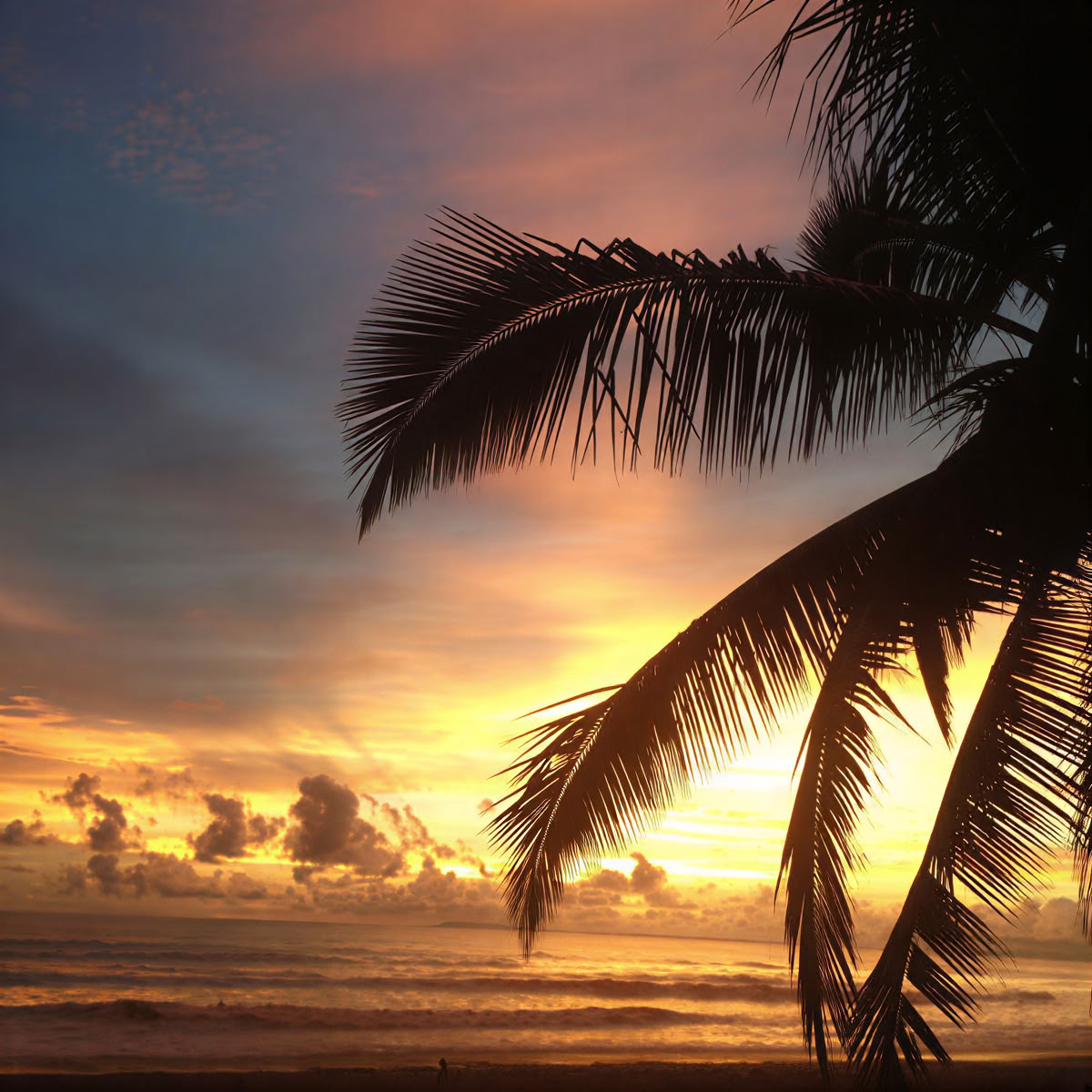 Jaco Beach Costa Rican retriitti