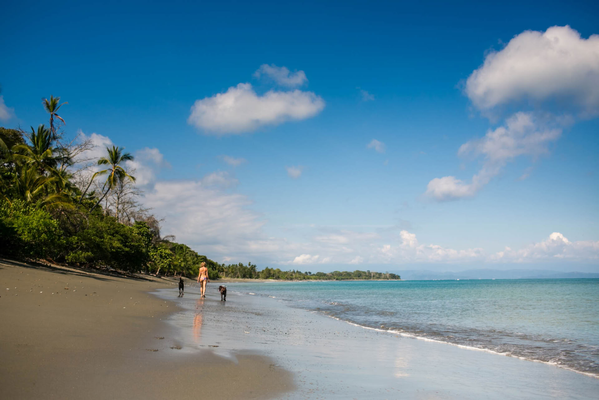 Pehmeä viisaus: Costa Rican jooga- ja meditaatioretriitti vuonna 2027
