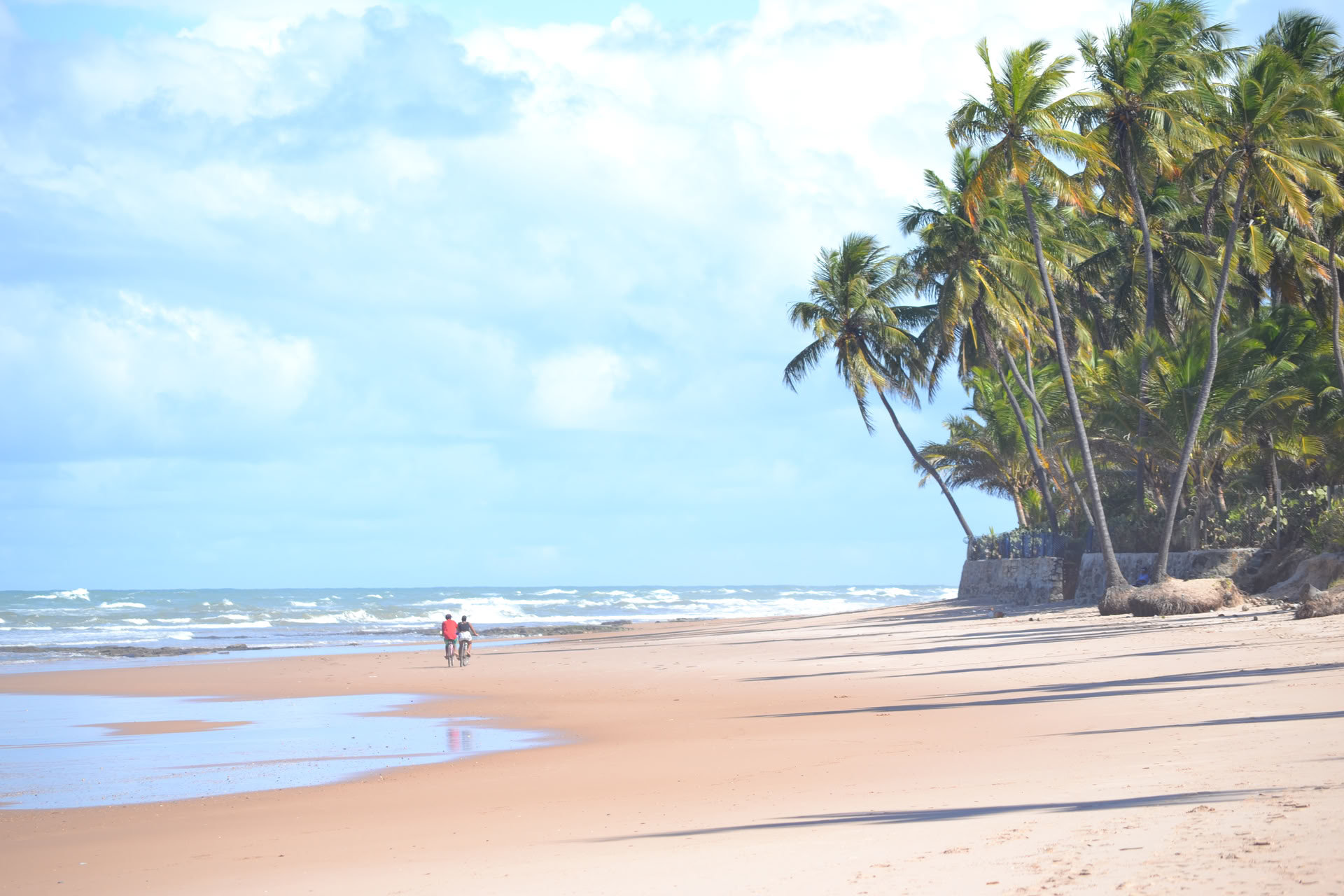 Surffileiri Bahiassa, Brasiliassa
