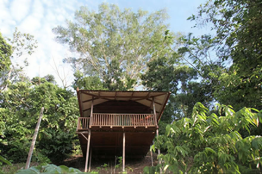 Ayahuasca-viikonloppuretriitti