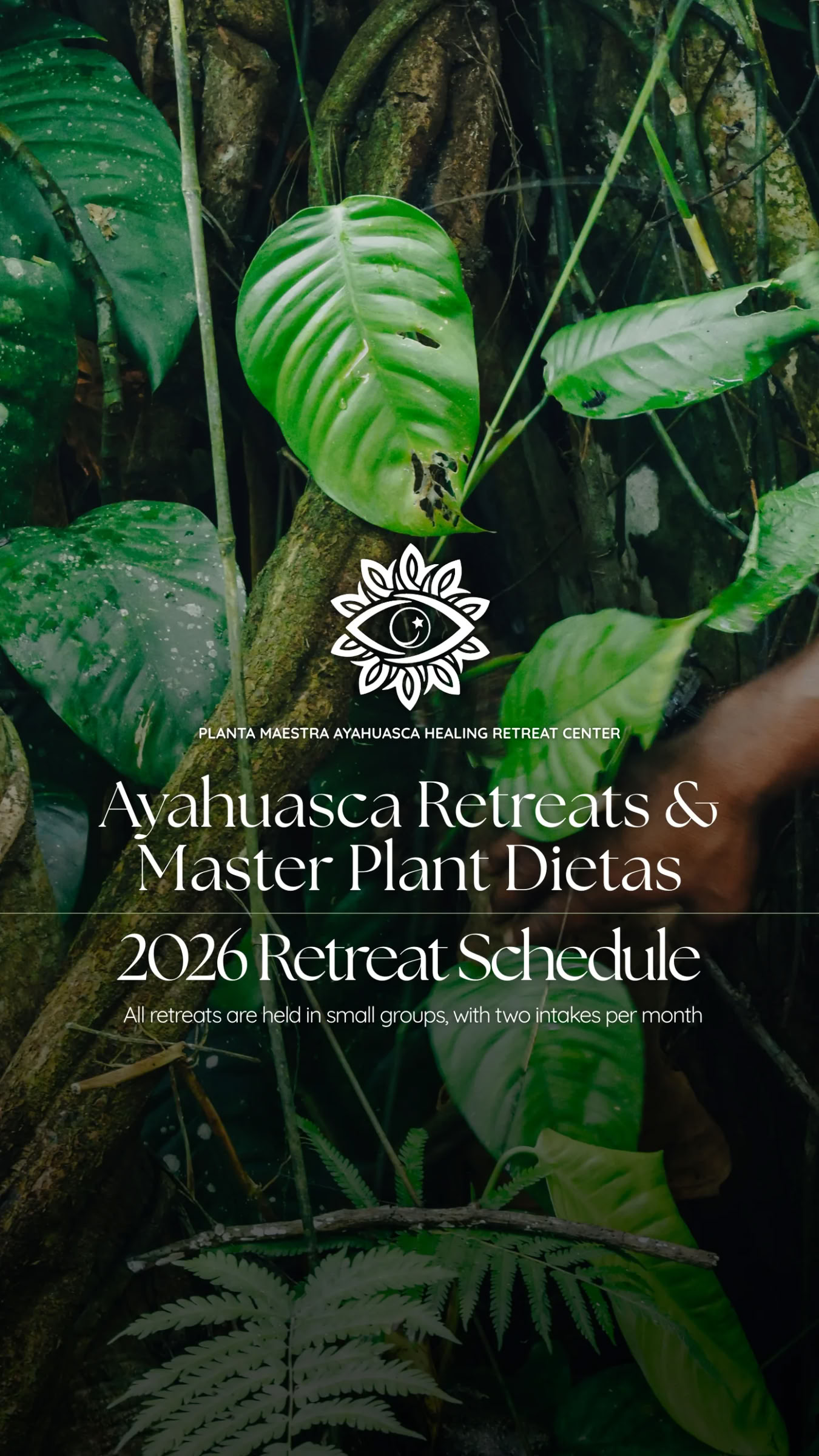 10 päivän ayahuasca-matka + mestarikasvidieetta
