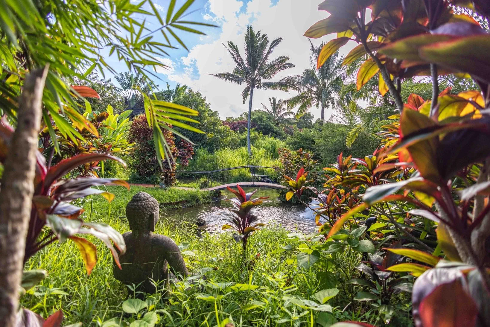 Kokoa Itsesi -retriitti - Maui