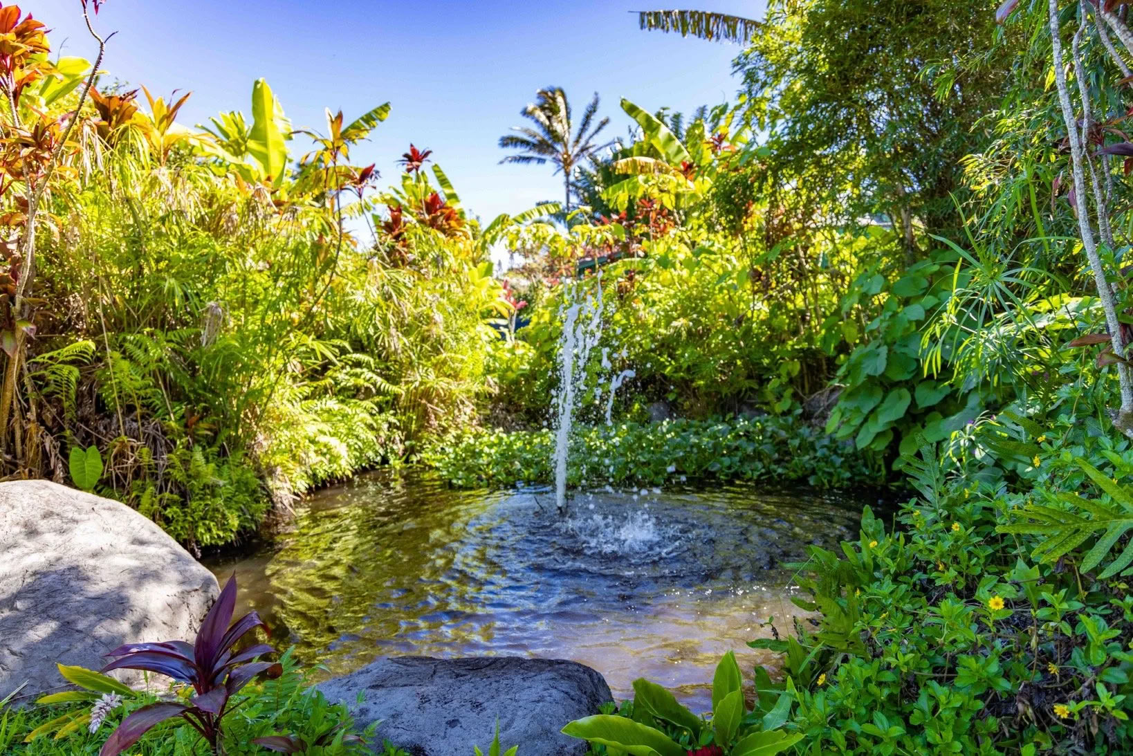 Kokoa Itsesi -retriitti - Maui