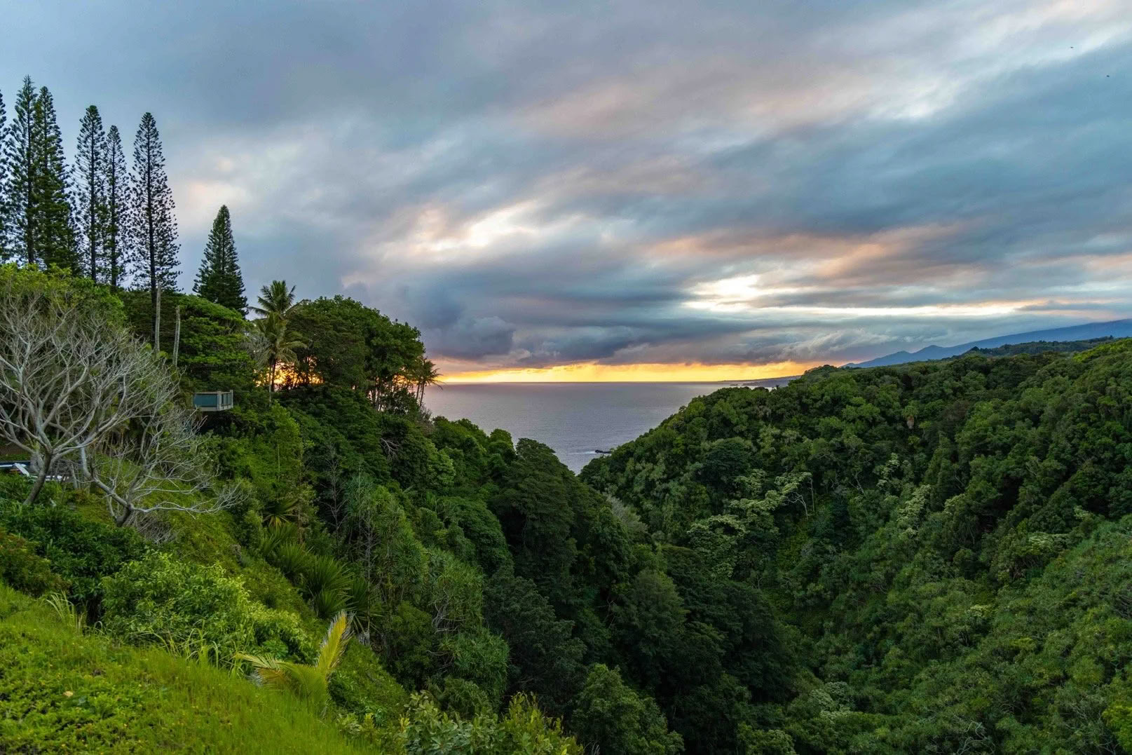 Kokoa Itsesi -retriitti - Maui