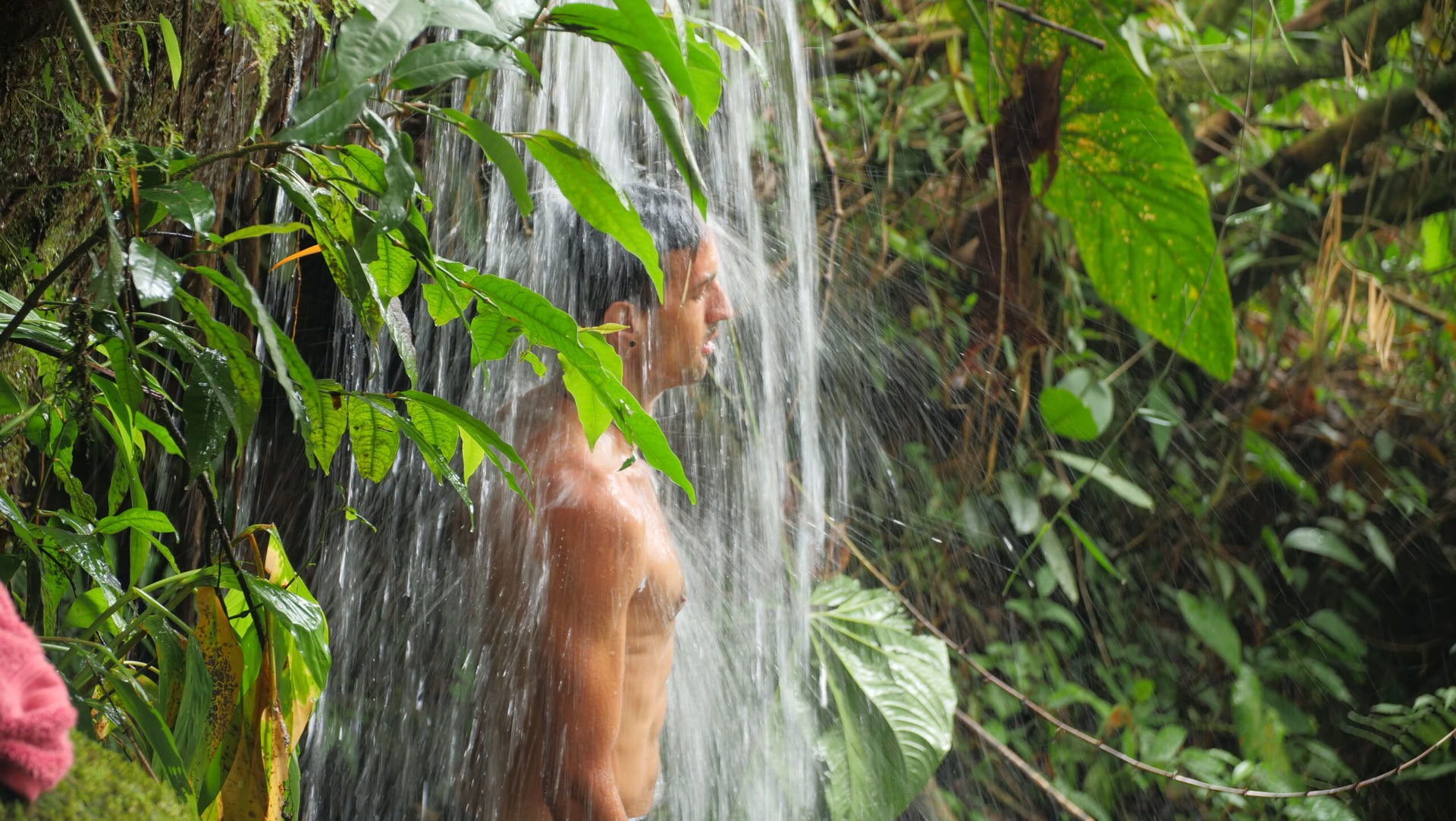 Ayahuasca ja somaattinen matka