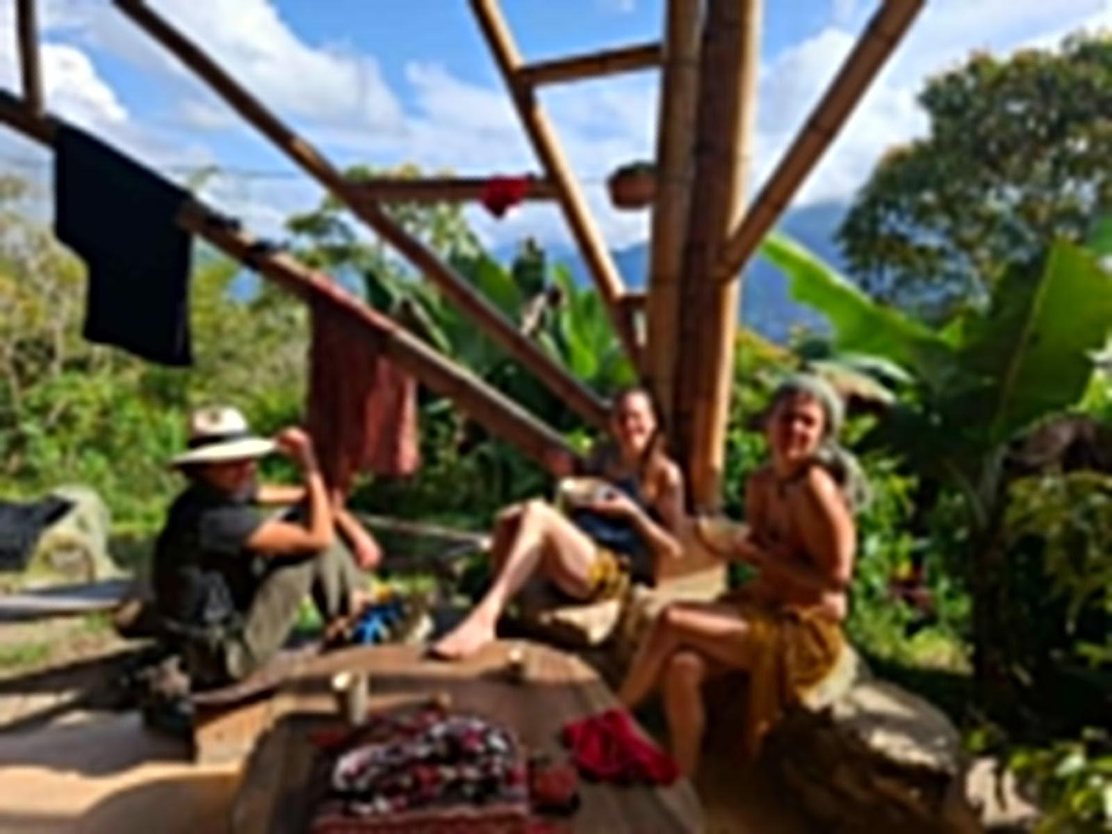 Ayahuasca ja somaattinen matka