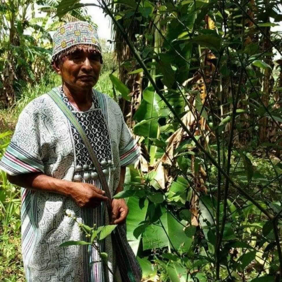 Ayahuasca-retriitti Perussa muinaisilla seremonioilla (5 päivää)