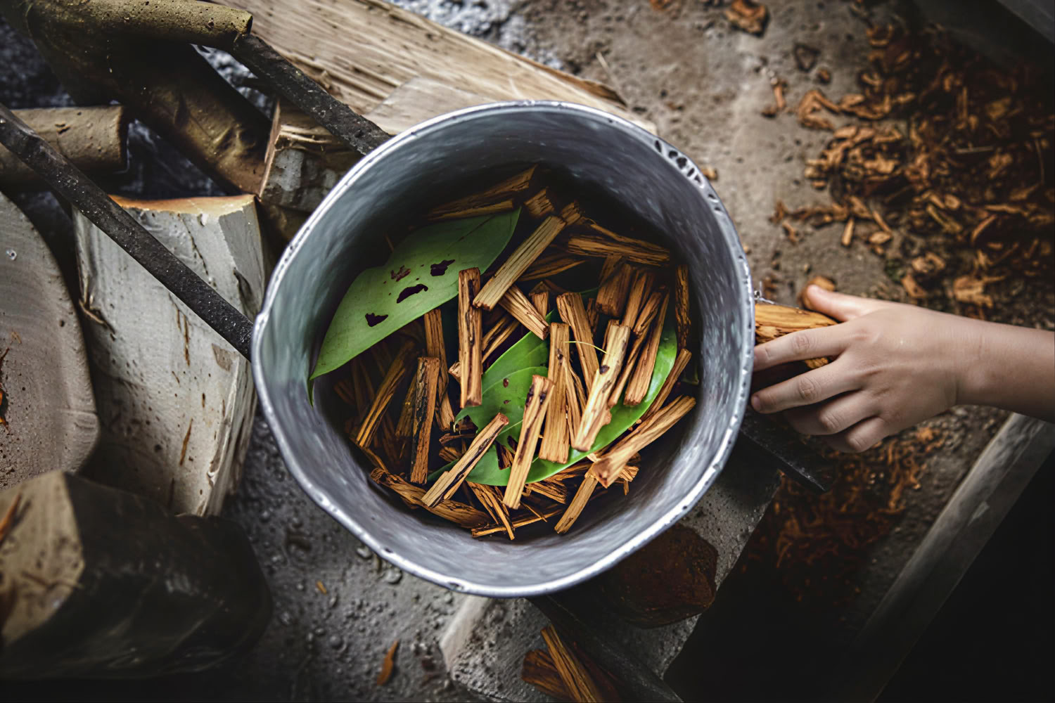 Ayahuasca-retriitti Perussa muinaisilla seremonioilla (5 päivää)