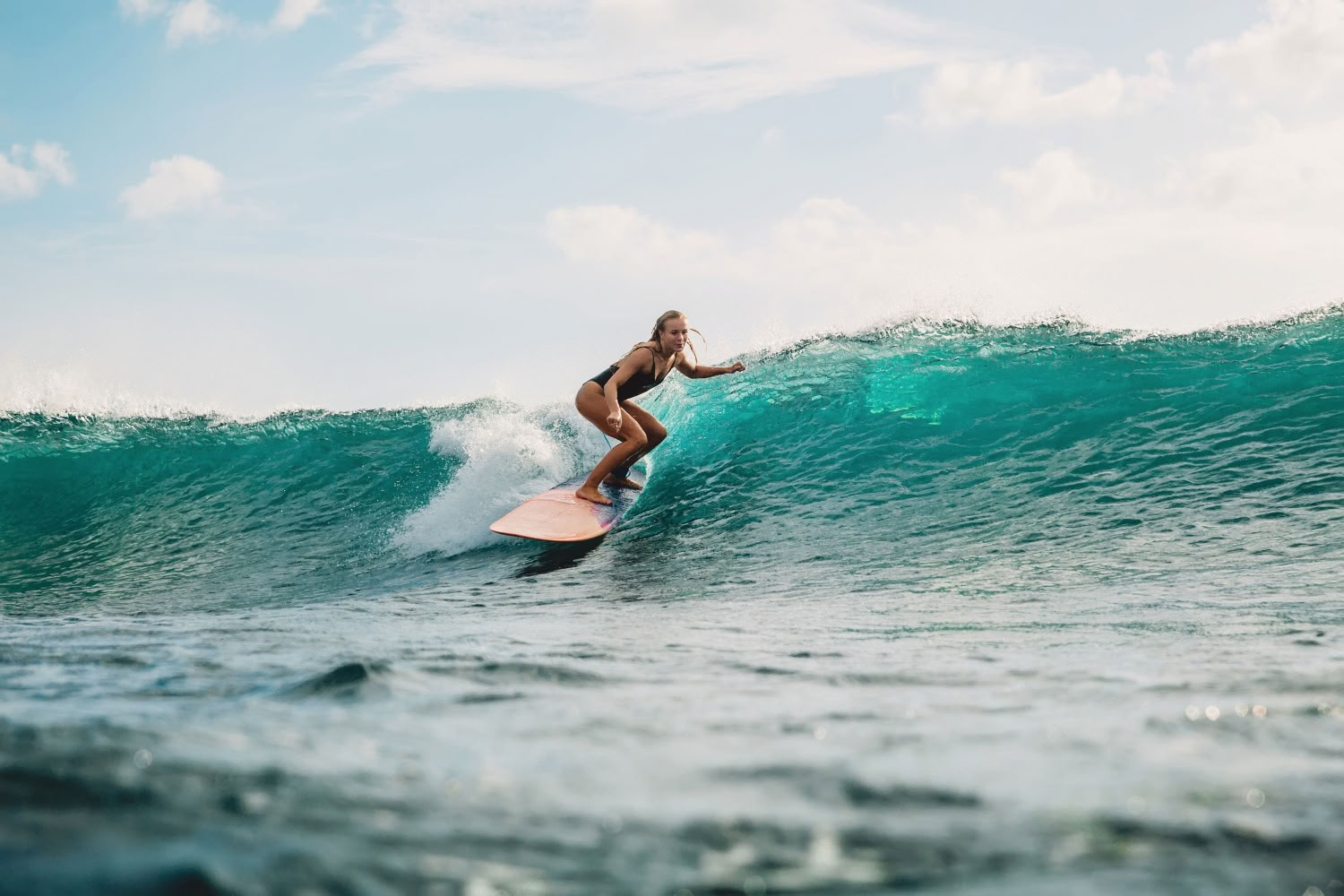 Surffaus ja kuntoilu