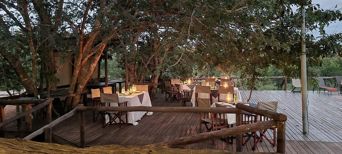 Terveys- ja hyvinvointisafari