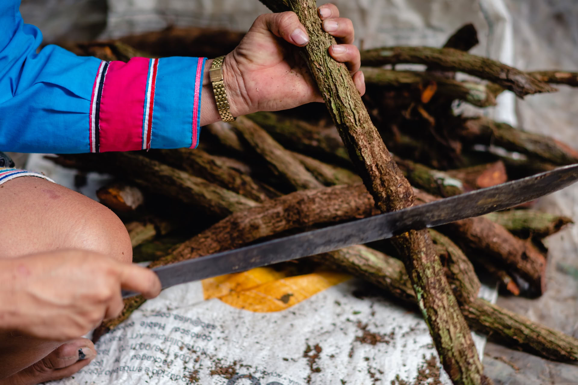 Ayahuasca Heinäkuu 2026 Sisäisen Näyn retriitti (8 päivää)
