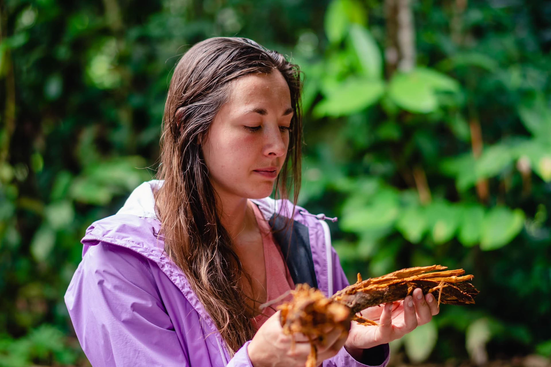 Ayahuasca-elvytysretriitti elokuussa 2026 (12 päivää)