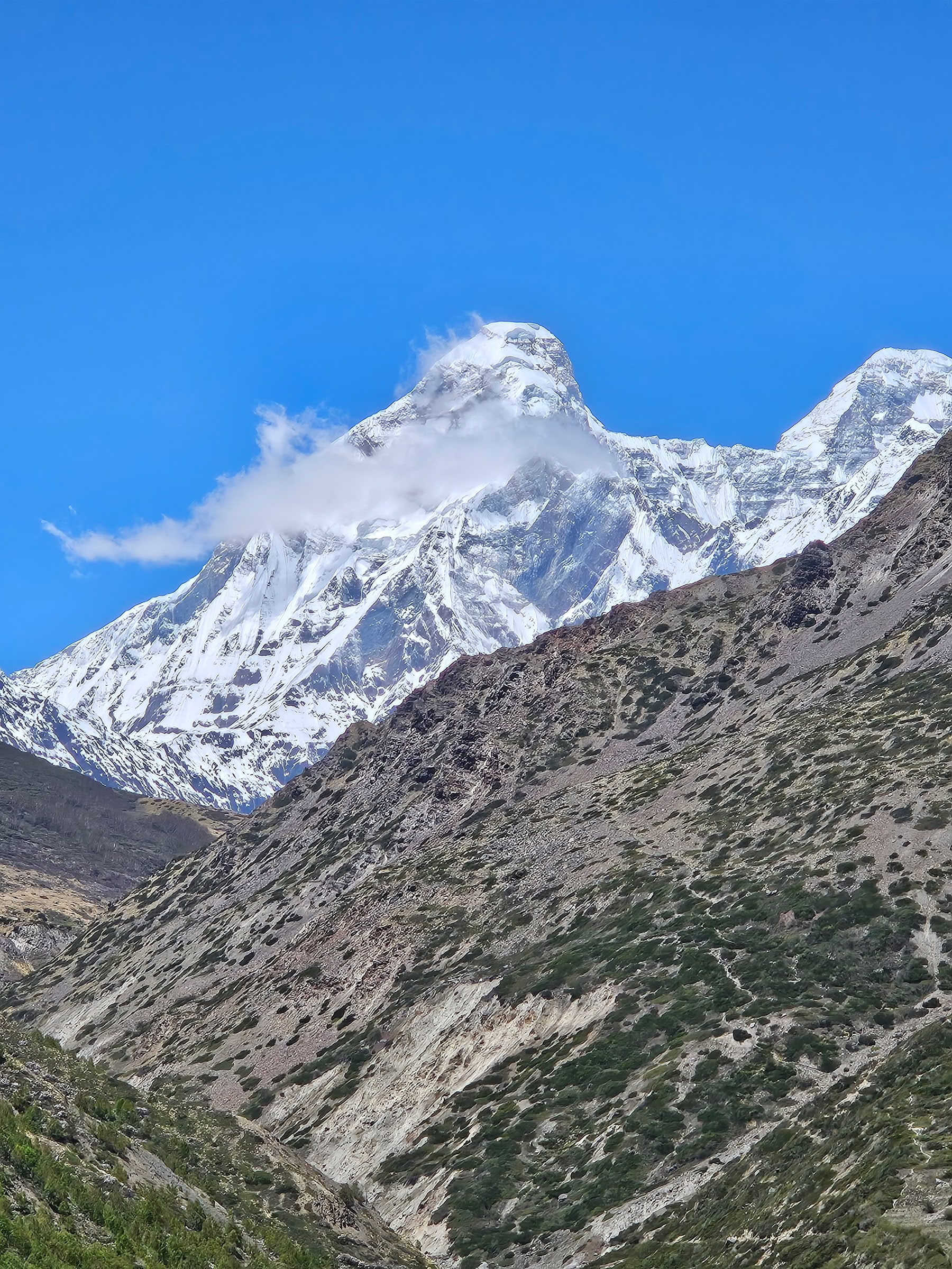 Kuari-solan