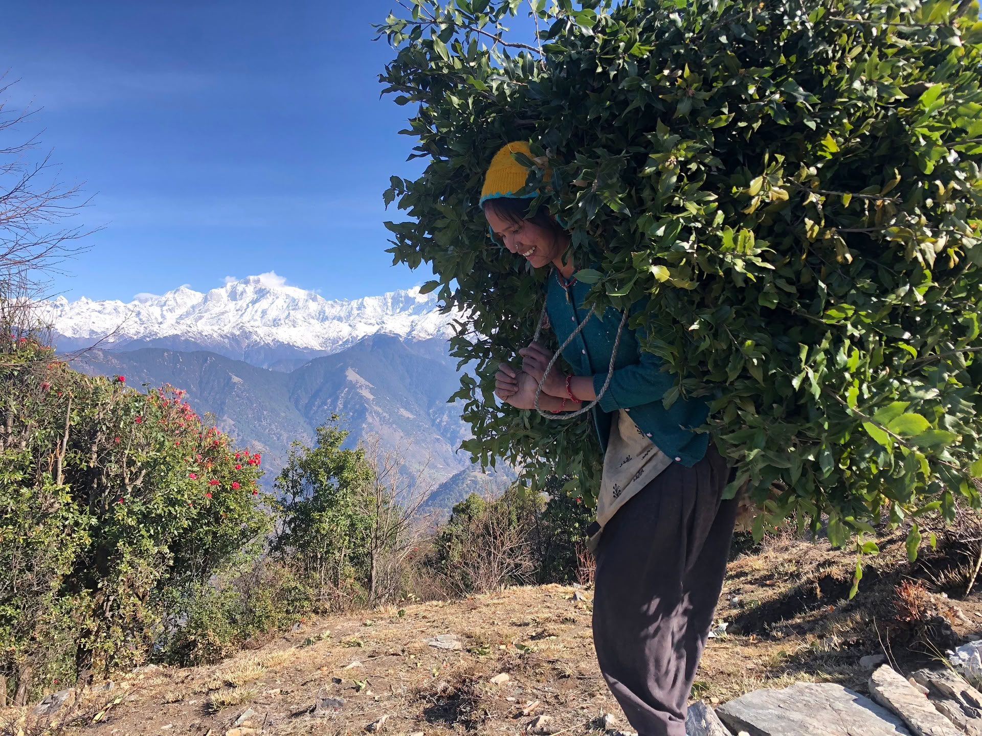 Chopta-Tungnath-vaellus