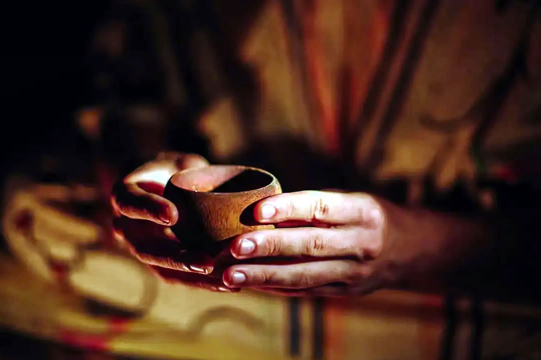Ayahuasca-retriitti homoille ja LGBTQ+-ihmisille