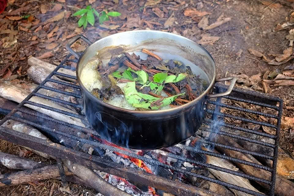 12 päivän ayahuasca-retriitti Perussa Selva Madressa