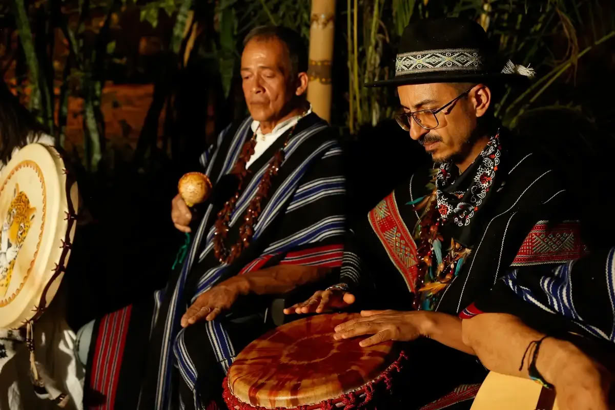 1 yön ayahuasca-retriitti Medellín