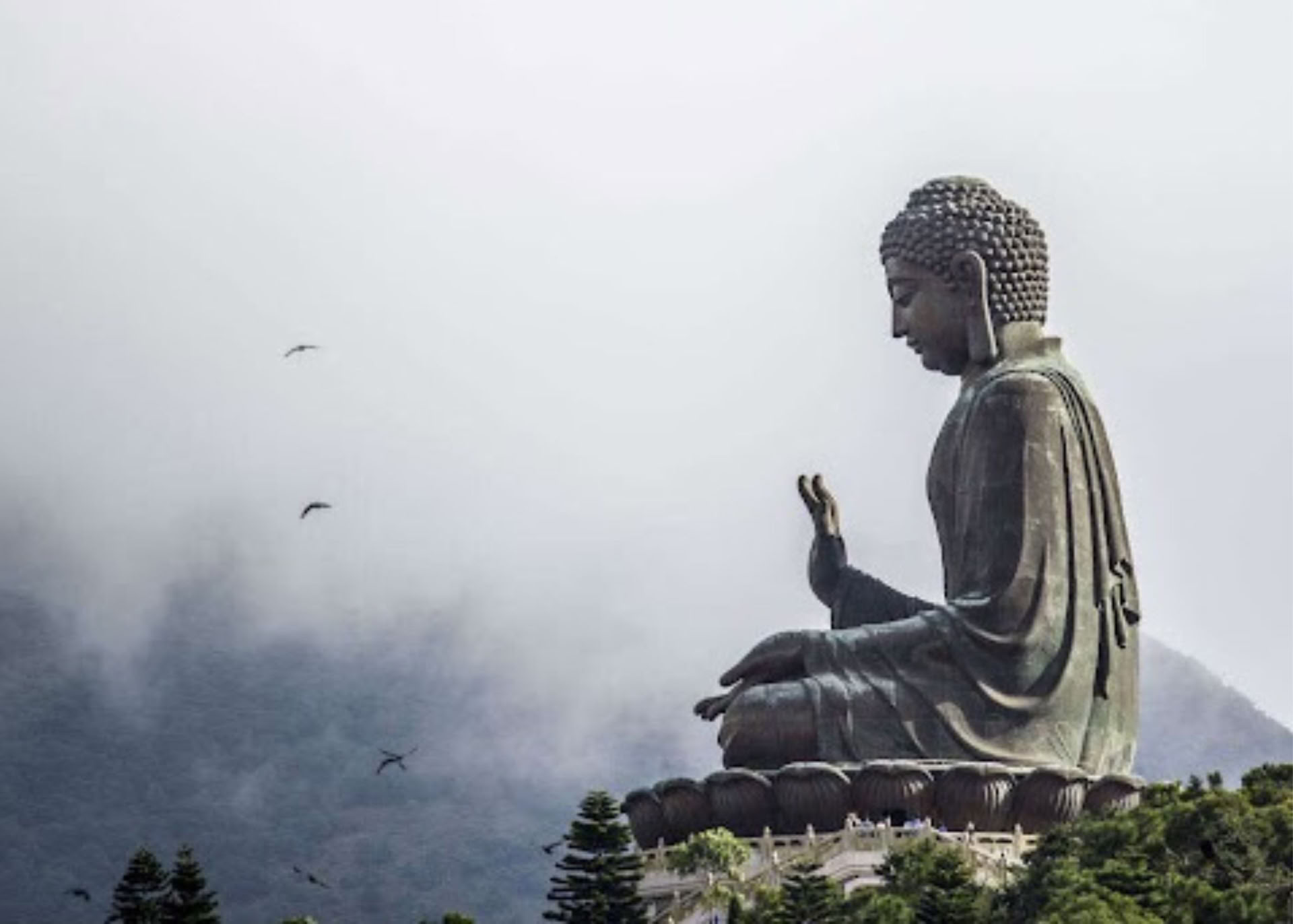 Meditaation perusteet II: Polun syventäminen | 2026