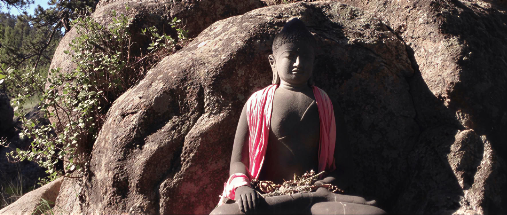Perusjärjen Julistaminen: Bodhisattvan Polulla